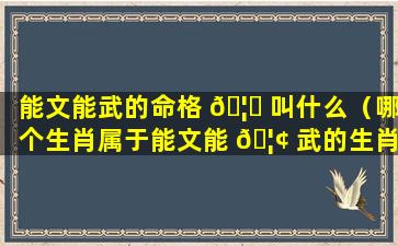 能文能武的命格 🦅 叫什么（哪个生肖属于能文能 🦢 武的生肖）